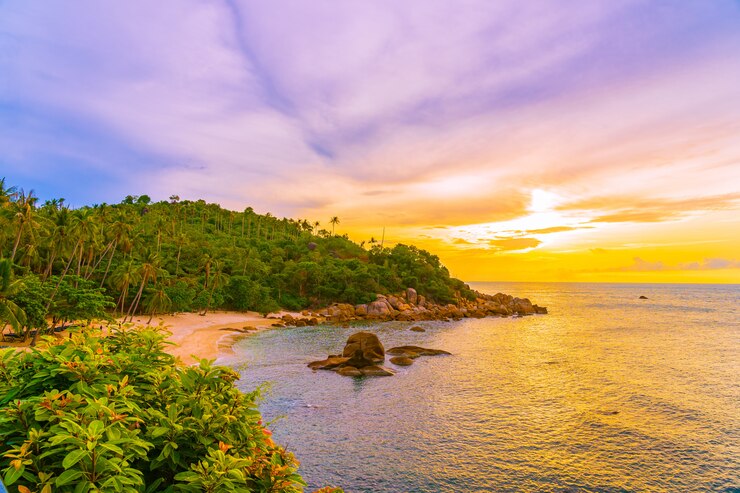 Discover BVI Like Never Before with BVI Excursions