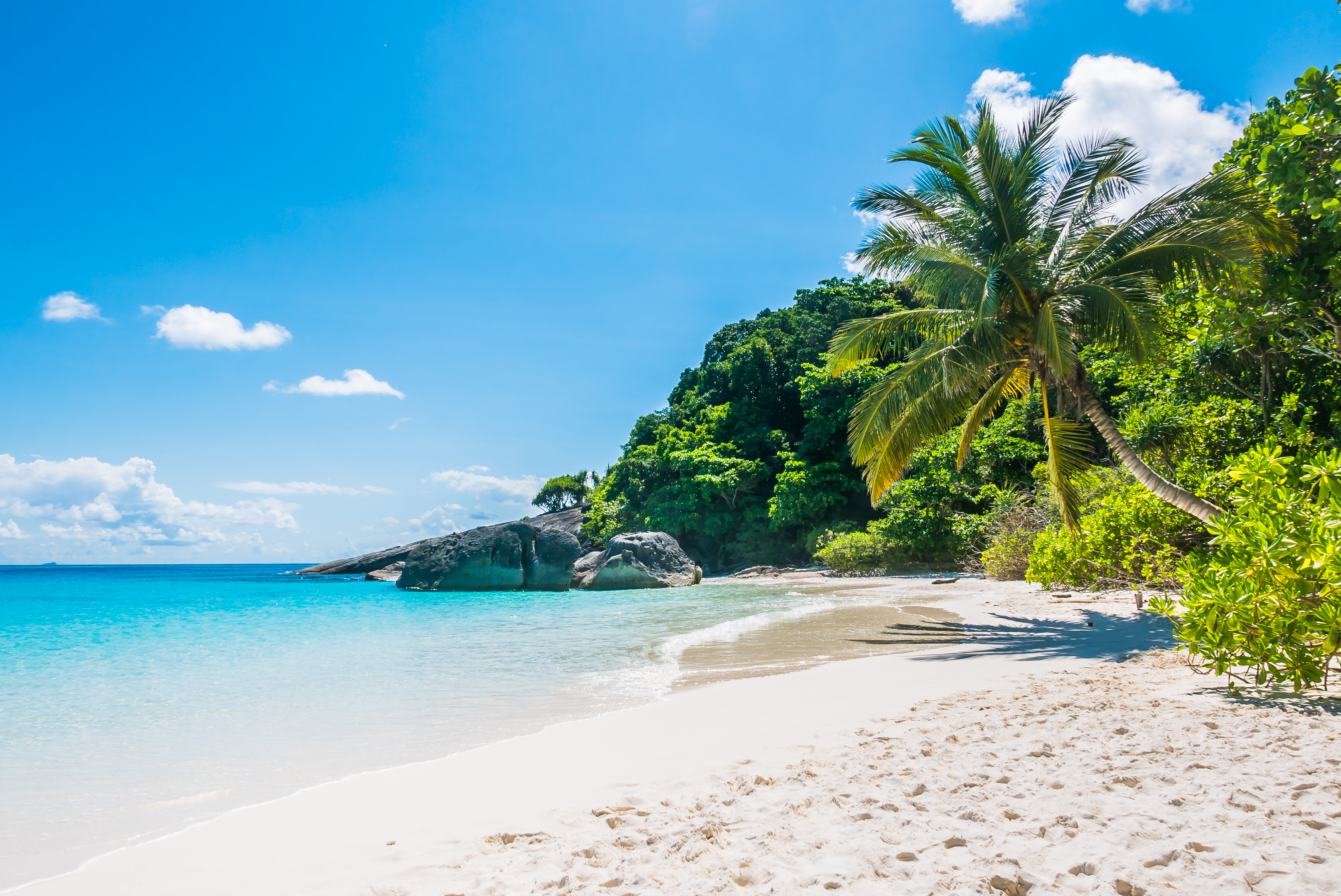 Exploring Nature’s Little Secrets: A Journey with BVI Excursions