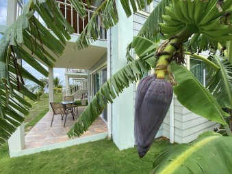 Accomodation Gallery 483