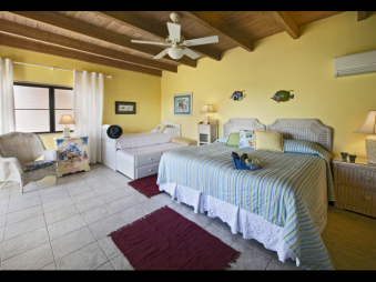 Accomodation Gallery 528