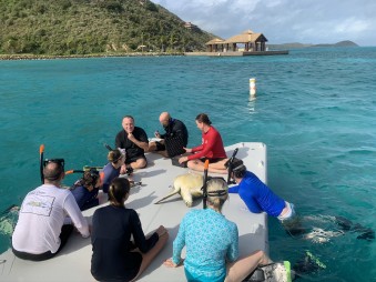 Accomodation Gallery 585